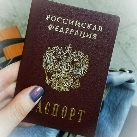 прописка в Новороссийске